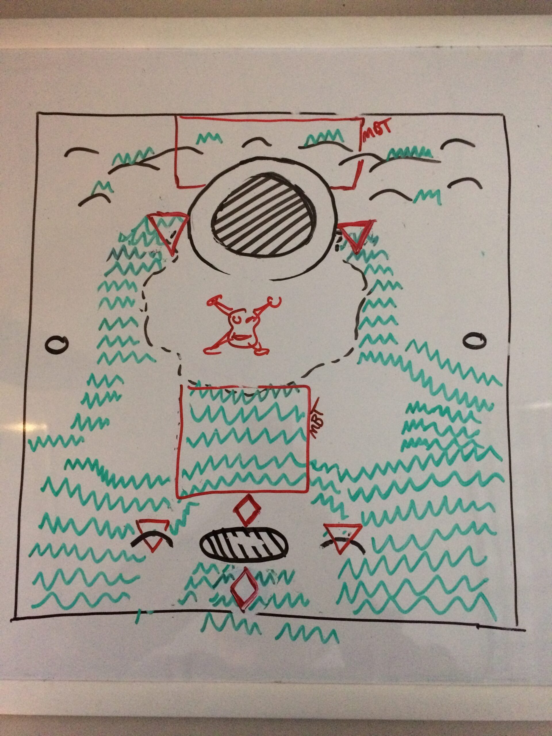 Hinterland topdown 1